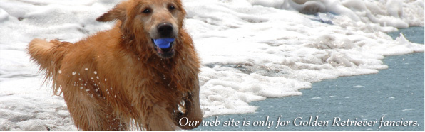 �S�[���f�����g���o�[