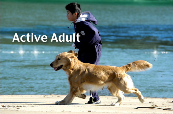 �S�[���f�����g���o�[����