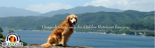 �S�[���f�����g���o�[