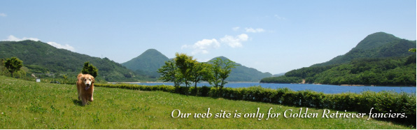 �S�[���f�����g���o�[