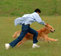 �S�[���f�����g���o�[�ƈꏏ��