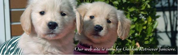 �S�[���f�����g���o�[