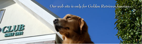 �S�[���f�����g���o�[