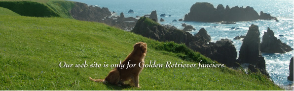 �S�[���f�����g���o�[